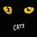 <b>CATS</b> roam the Paris streets